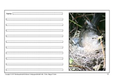 Amsel-eigene-Texte-13.pdf